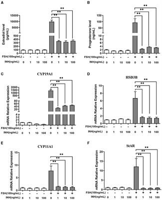 Synergistic Regulatory Effect of Inhibin and Anti-Müllerian Hormone on Fertility of Mice